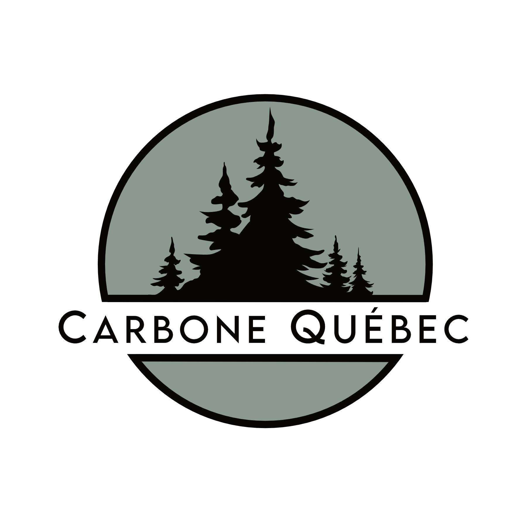 Logo de Carbone Québec